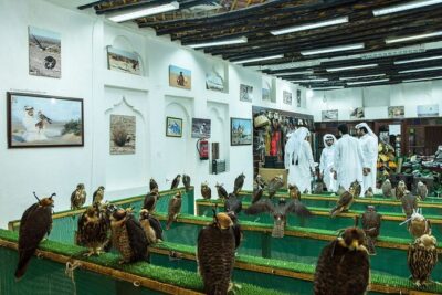 Private Doha City Tour From Airport And Hotel