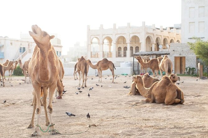 Private Doha Guided City Tour To All Main Attractions - The Pearl-Qatar: a look at Doha’s luxury side