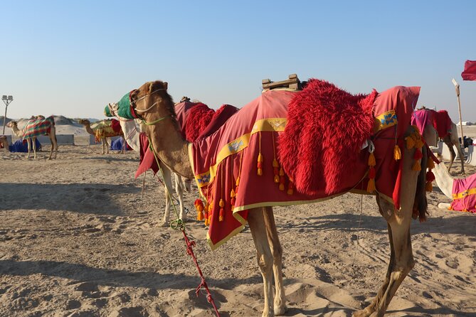 Private Dunes Bashing | Desert Safari | Sand Boarding - Quick reasons to consider this desert trip