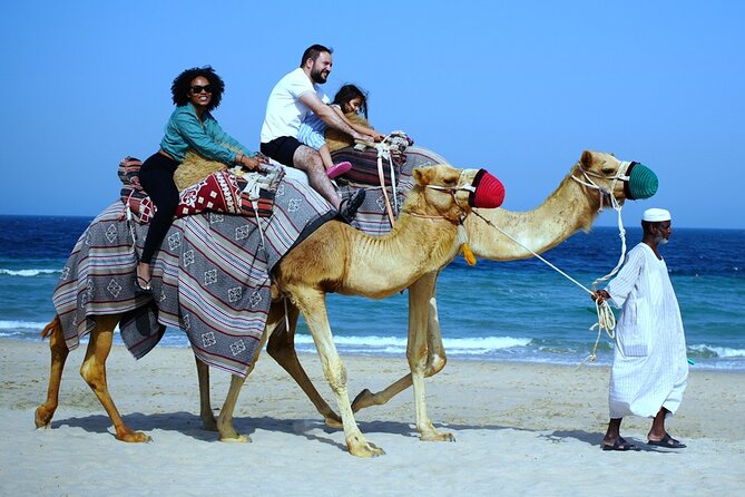 Private Full Day Desert Safari - Al Rahal Resort and the beachside camp