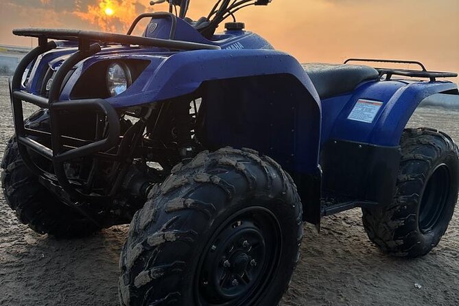 Private Full Day Desert Safari Dinner and Camel Ride in Doha - Who will enjoy this private desert day?