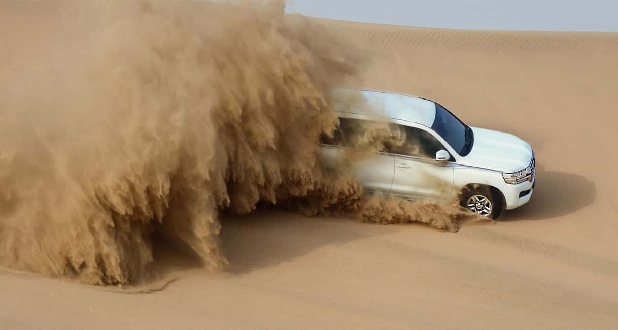Private Full-Day Desert Tour - Key points to know before booking