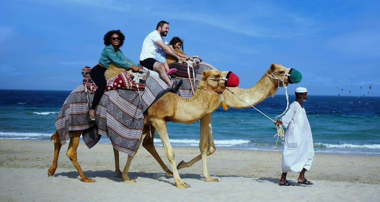 Private Full-Day Desert Tour - The Land Cruiser ride across Qatar’s dunes