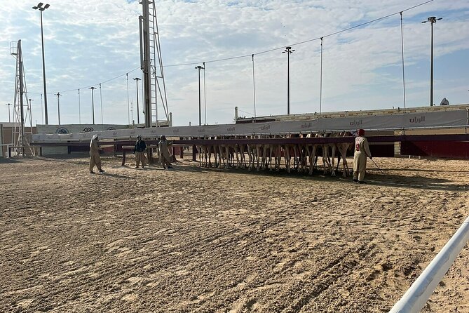 Private Full Day Guided Tour in Qatar North and West - Al Zubara Fort and the UNESCO archaeological site