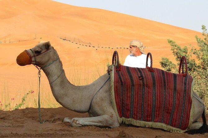 Private Full Day Guided West of Qatar Tour and Desert Safari - Zekreet Fort Ruins and the stark western desert