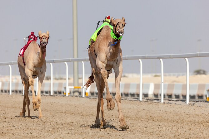 Private Full Day Guided West of Qatar Tour and Desert Safari - Leaving Doha for western Qatar