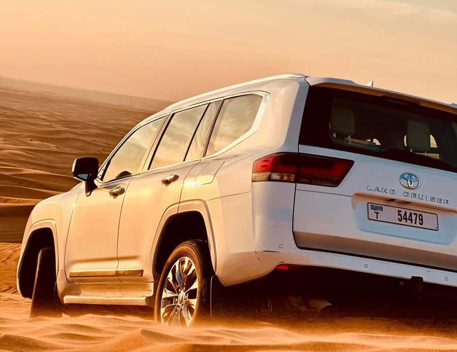 Private Gentle Sands Desert Experience Without Dune Bashing - From Doha to Qatar’s golden desert