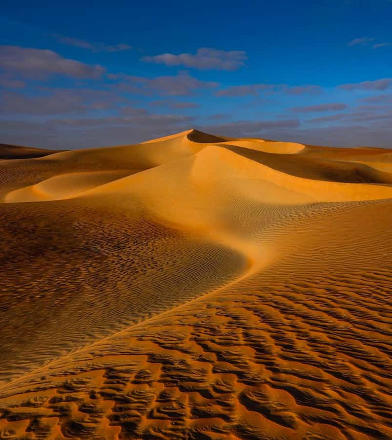 Private Gentle Sands Desert Experience Without Dune Bashing - Falconry and the cultural side of the outing