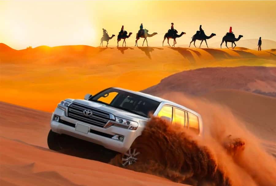Private Gentle Sands Desert Experience Without Dune Bashing - Is $16 good value?