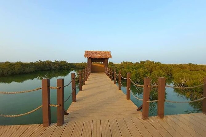 Private Half Day Tour in the North of Qatar - Al Jumail, an abandoned coastal village