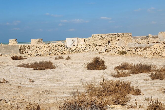Private Half Day Tour in the North of Qatar - Timing, comfort, and the price of the tour