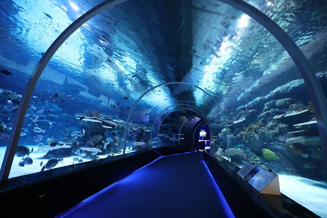 Private Hamad Port Tour in Mesaieed |Aquarium |Maritime Museum - Key Details Before You Go