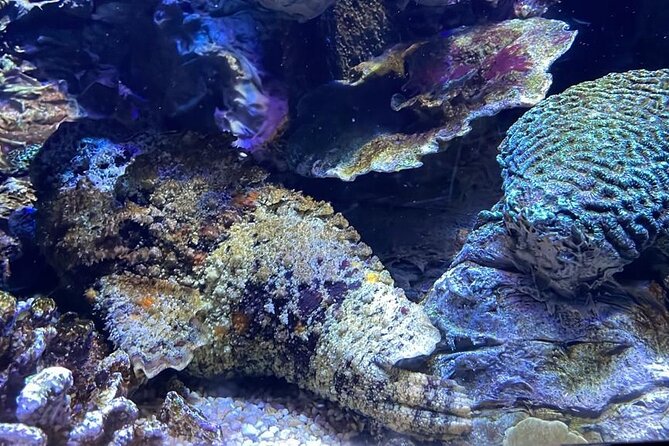 Private Hamad Port Tour in Mesaieed |Aquarium |Maritime Museum - The Moving 4D Cinema