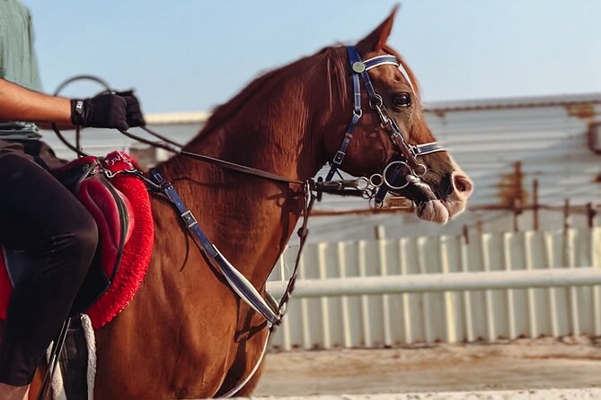 Private Horse and Camel Riding Experience in Doha - What the Three Hours Really Include