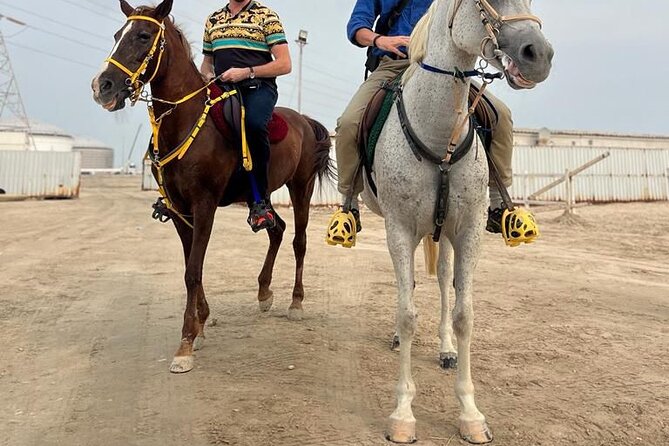 Private Horse and Camel Riding Experience in Doha - Why Sunrise and Sunset Are the Best Times