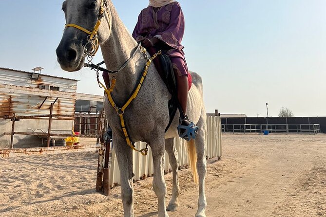 Private Horse and Camel Riding Experience in Doha - Who Will Enjoy This Doha Horse and Camel Ride?