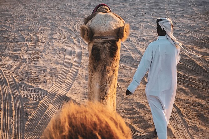 Private Horseback Riding Experience in Doha - What the private format changes