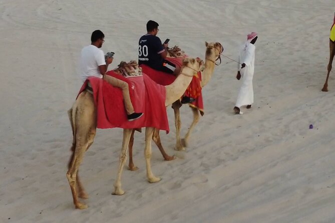 Private Horseback Riding Experience in Doha - Timing, comfort, and practical planning