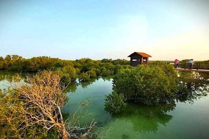 Private North of Qatar Tour - Why northern Qatar makes a good half-day outing
