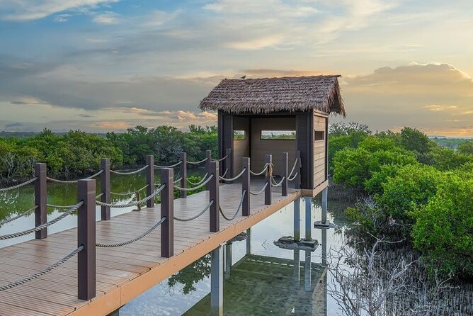 Private North of Qatar Tour - Purple Island: two hours among mangroves