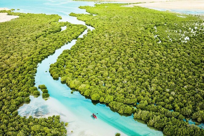 Private North of Qatar Tour - Is $72 per person good value?