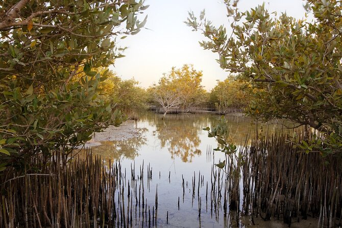 Private North of Qatar: Zubara Fort | Jumail Village | Al-Thakhira Mangroves - Who will get the most from this northern outing