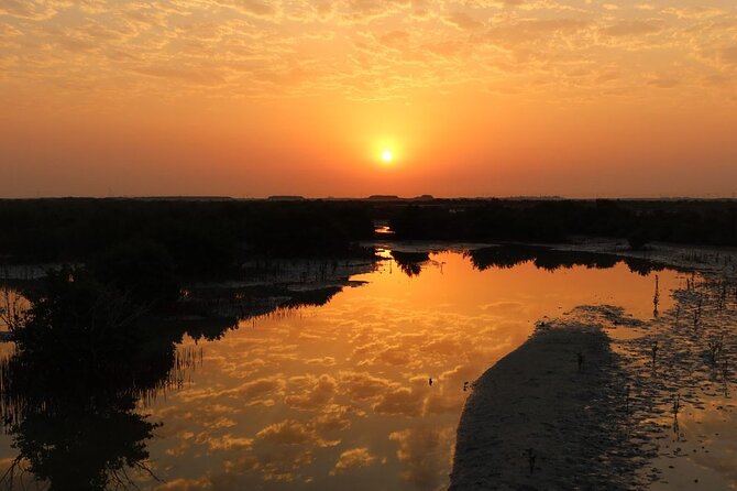 Private North of Qatar: Zubara Fort | Jumail Village | Al-Thakhira Mangroves - Al Thakhira Mangroves and a different side of Qatar
