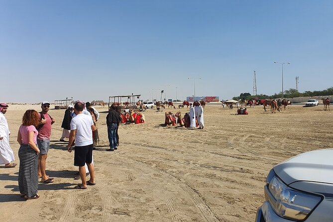 (Private) Quickie to the Desert | Sandboarding | Inland Sea - How long does the tour really feel?