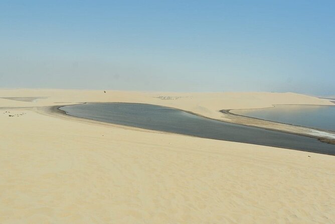 Private Sealine Beach Tour with Desert Activities - Is $40 good value for a six-hour outing?