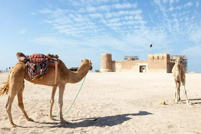Private Tour in Northern Qatar - Who should book this tour?