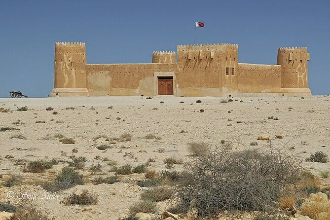 Private Tour in Northern Qatar - Purple Island and its mangrove habitat