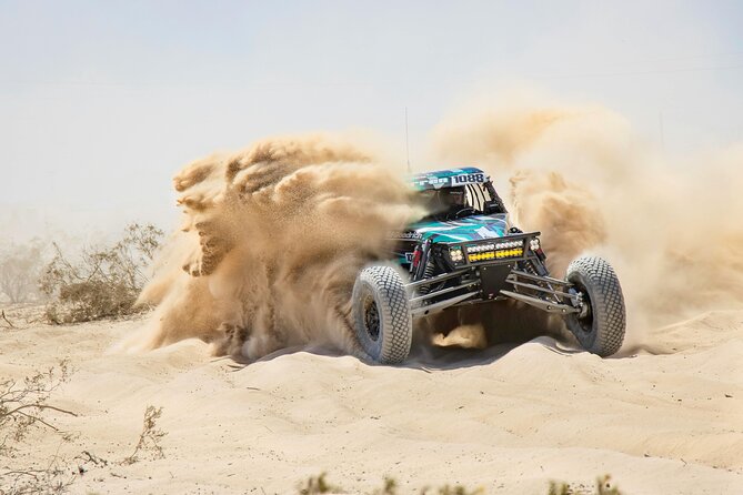 Professional Buggy Self Drive with Desert Safari and Camel Ride - Key points at a glance
