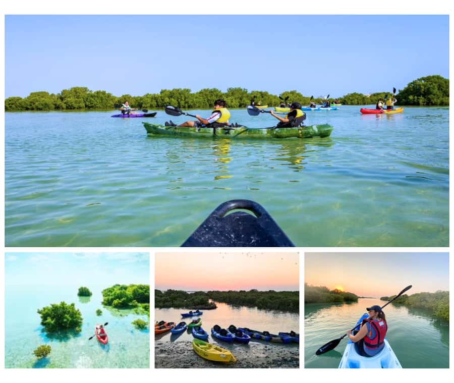 Qatar: Al Thakira Mangrove Forest Kayaking Tour - Key points to know before you book