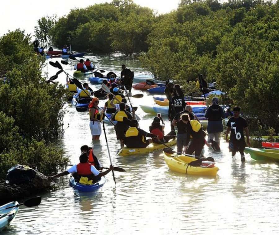 Qatar: Al Thakira Mangrove Forest Kayaking Tour - Getting ready beside the mangrove channels