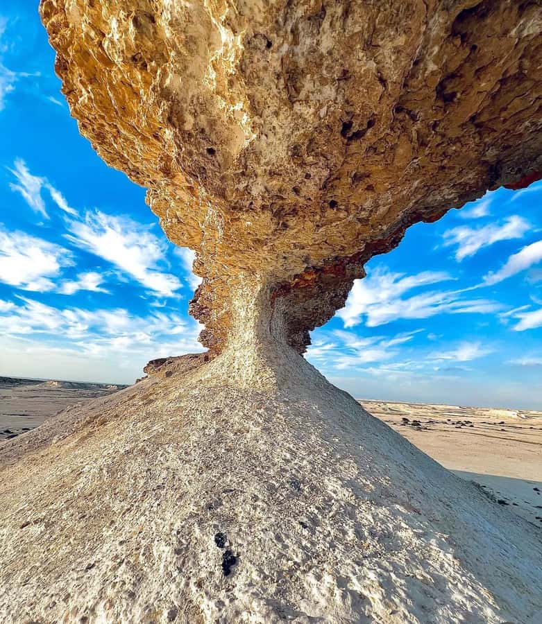 Qatar: Combo Tour of the North and West with Pickup - Zubara Fort, Qatar’s first UNESCO World Heritage Site