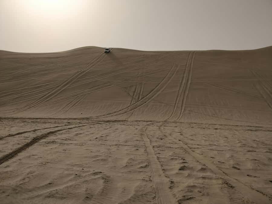 Qatar: Desert Safari, Camel Ride, Inland sea, Sandboarding - Dune Bashing in the 4x4 Land Cruiser