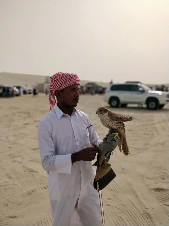 Qatar: Desert Safari, Camel Ride, Inland sea, Sandboarding - What Makes the Tour Good Value