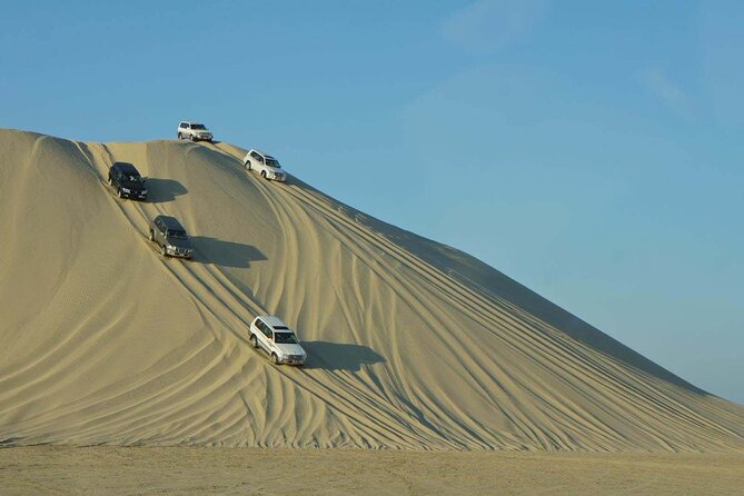 Qatar Desert Safari, Dune Bashing (Private Safari Tour) - Key points to know before booking