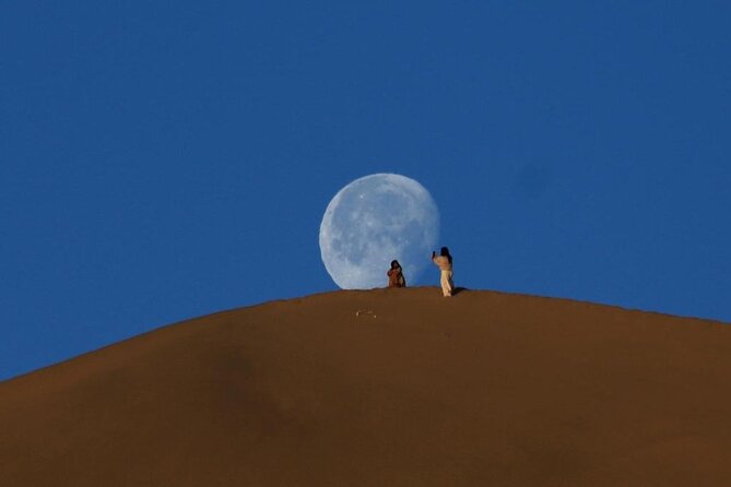 Qatar Desert Safari, Dune Bashing (Private Safari Tour) - What the $90 price really covers