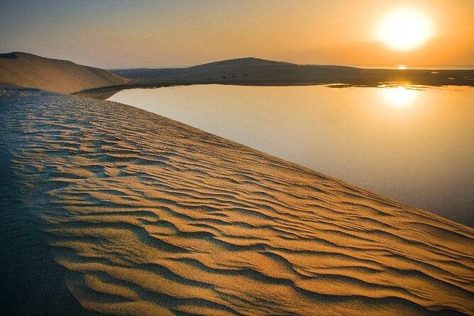 Qatar Desert Safari, Dune Bashing (Private Safari Tour) - Two and a half hours of dune bashing