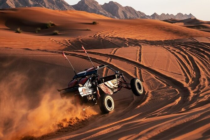 Qatar Desert Thrills Self Ride Dune Buggy Safari and Camel Ride - Key points to know before booking