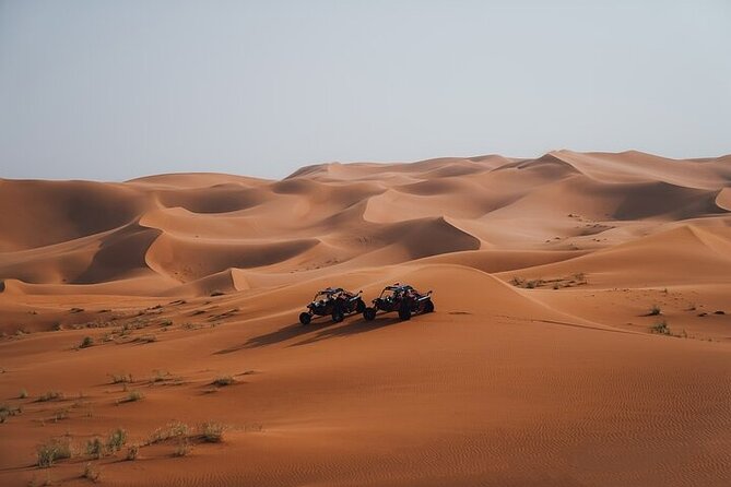 Qatar Desert Thrills Self Ride Dune Buggy Safari and Camel Ride - Who will enjoy this outing most?