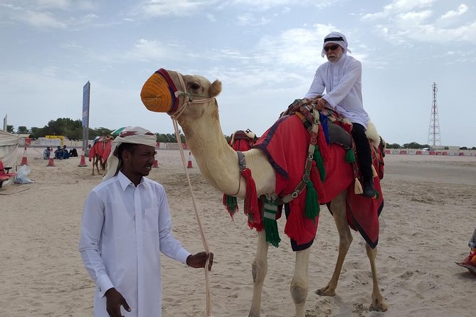 Qatar Gold Dune Safari, Dune Bashing,Camel Ride,Sand Boarding,Inland Sea Desert - Tea, Water, and a View Across Khor al Udaid