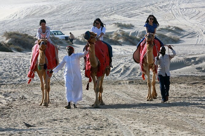 Qatar Half Day Desert Safari(Camel Rides & Sandboarding) - Sandboarding and the camel stop
