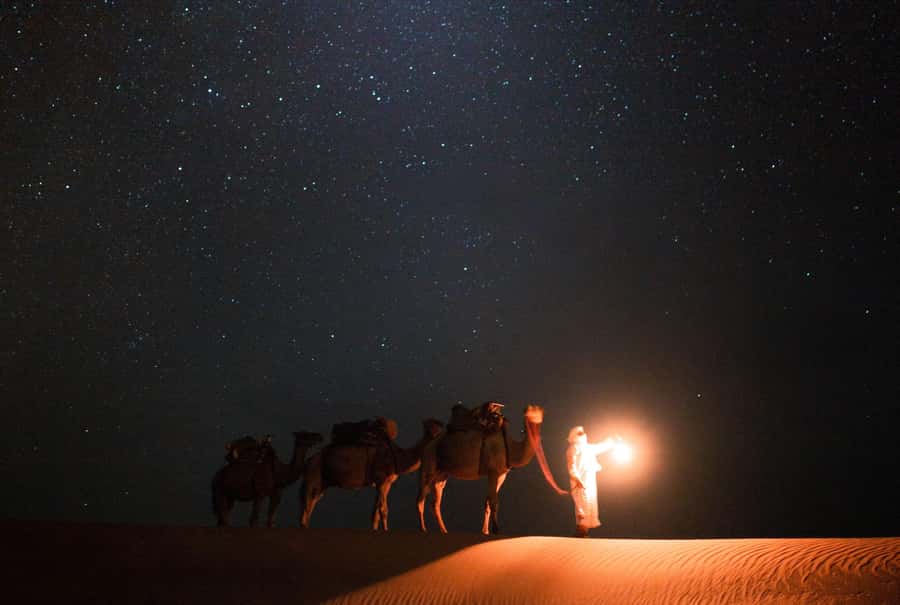 Qatar: Night Desert Safari| Camel Ride| Inland Sea Beach - Key points to know before you book