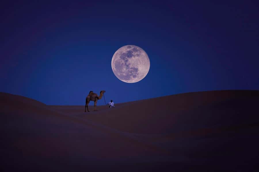 Qatar: Night Desert Safari| Camel Ride| Inland Sea Beach - Why this four-hour safari works well at night