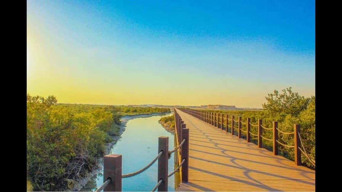 Qatar:North Tour, Purple island, zubara Fort, Jumail village - Practical advice for a comfortable visit