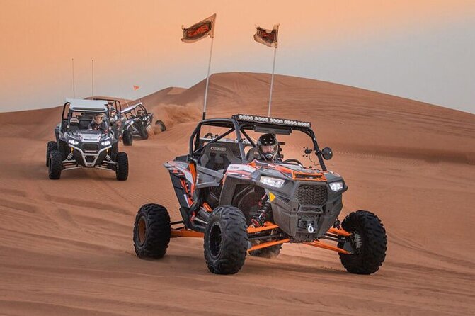 Qatar: Sunrise or Sunset Desert Tour in Doha, unforgettable trip - Camels, quad bikes, and what is actually included