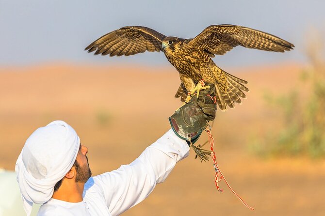 Qatar: Sunrise or Sunset Desert Tour in Doha, unforgettable trip - How the private format changes the day