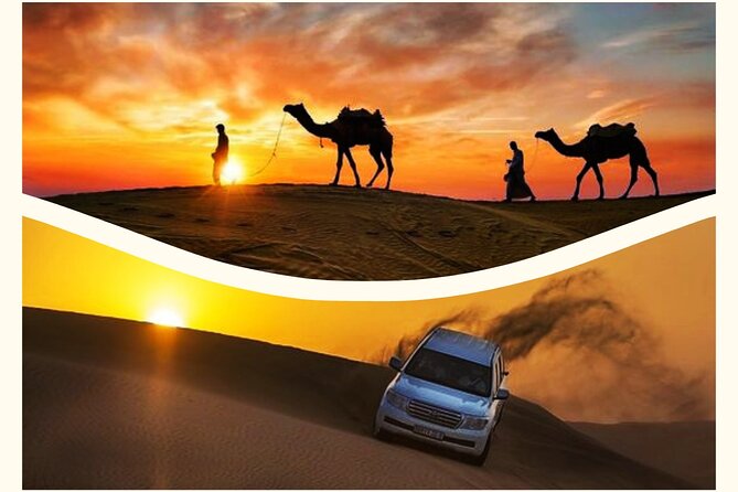 Qatar Sunset Desert Safari: Dune Bashing & Golden Sands Adventure - Key points to know before you book